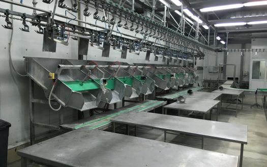 Завод по убою и переработке птицы на 4000 голов/час