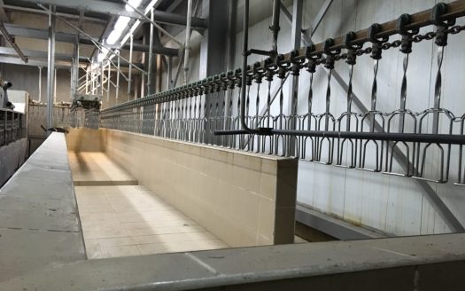 Завод по убою и переработке птицы на 4000 голов/час