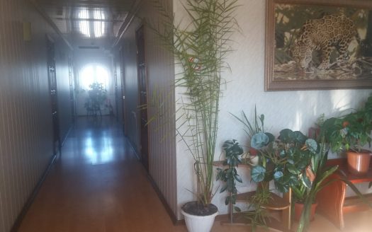 Комплекс. Брянская область (трасса М3)