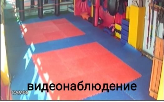 Детский спортивный развивающий центр