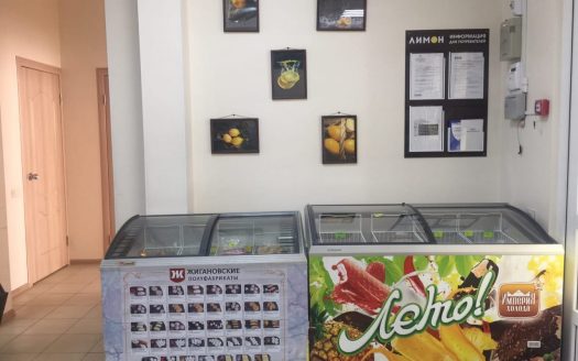 Готовый бизнес, продуктовый магазин