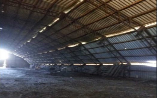 Продажа. ООО  (с действующей лицензией на оптовую торговлю алкогольной и табачной продукцией)